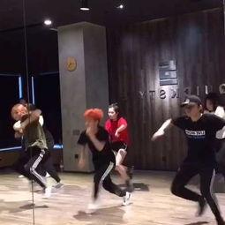 成人美声歌舞视频大全集,成人美声歌舞视频大全集赏析