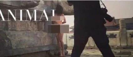 成人塔搞笑视频在线观看,在线观看笑不停