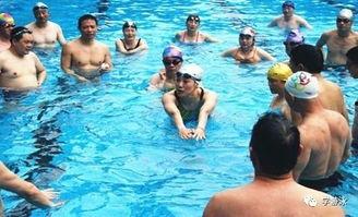 教成人游泳的视频大全,成人游泳视频大全攻略解析