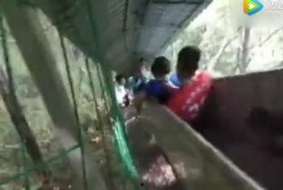 成人滑道事故视频播放,成人滑道事故视频回顾