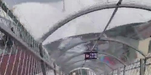 成人滑道事故视频播放,成人滑道事故视频回顾