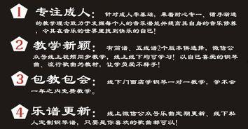 成人钢琴全套教程视频,全套教程视频精华概述