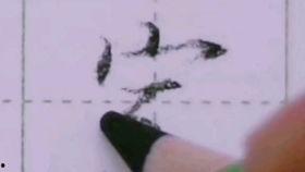 成人练字新字写法视频,轻松掌握规范书写技巧