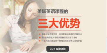 徐老师成人基础英语视频,轻松入门,高效提升英语能力