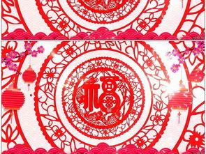 成人彩色剪纸视频大全集,成人彩色剪纸视频大全集赏析