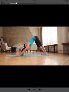 成人瑜伽免费课程视频,轻松入门,享受身心和谐之旅