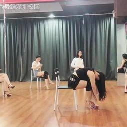 青年成人舞蹈视频教学,轻松入门舞蹈世界